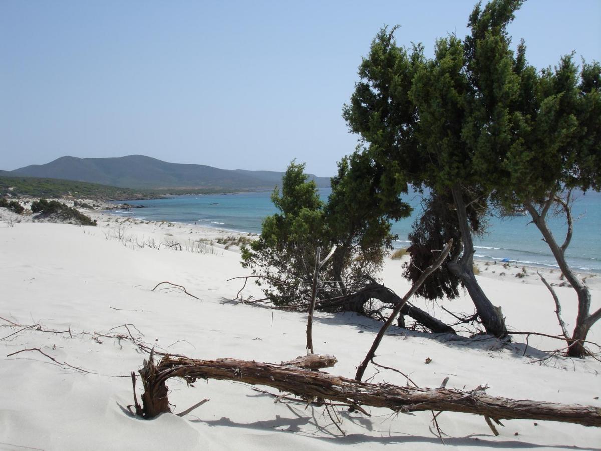 South Sardinia Holidays Apartment